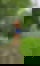 613885594