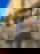 611336006