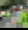 624938245
