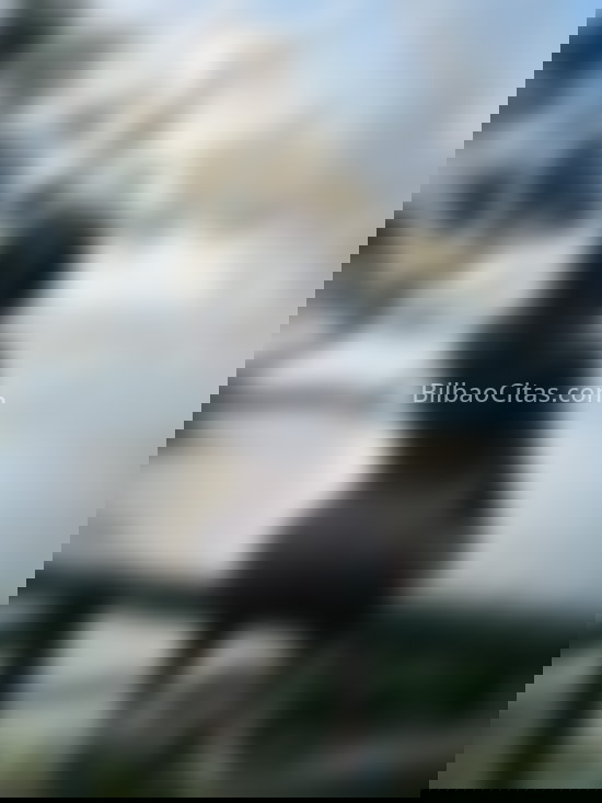 Ainara Cadavid, hermosa trans colombiana. 611279967. Citas en BILBAO, BILBAO. www.bilbaocitas.com.
