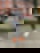 645998514